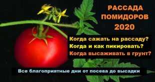 График пикировки томатов в апреле 2018 года по лунному календарю