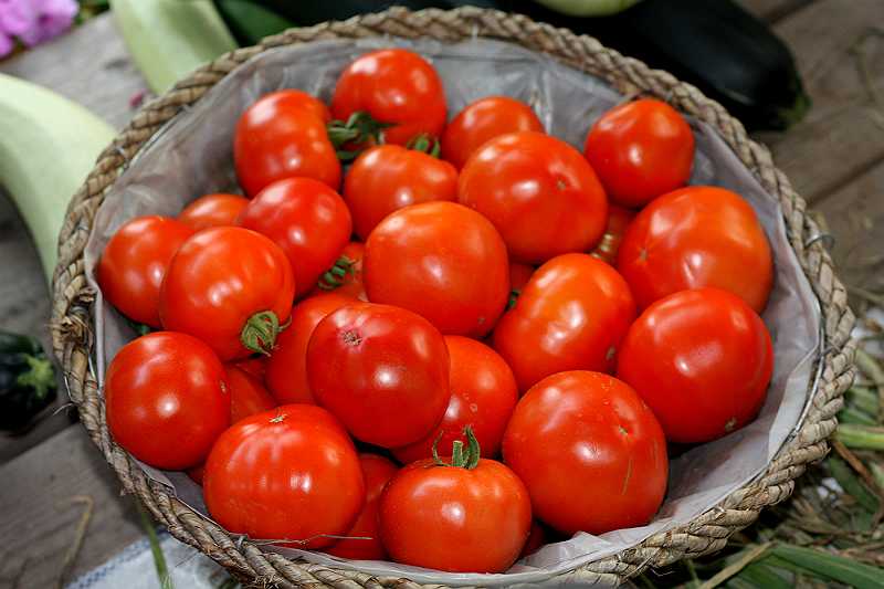 Томат "русский размер" f1: описание сорта помидоров, характеристики, фото и выращивание