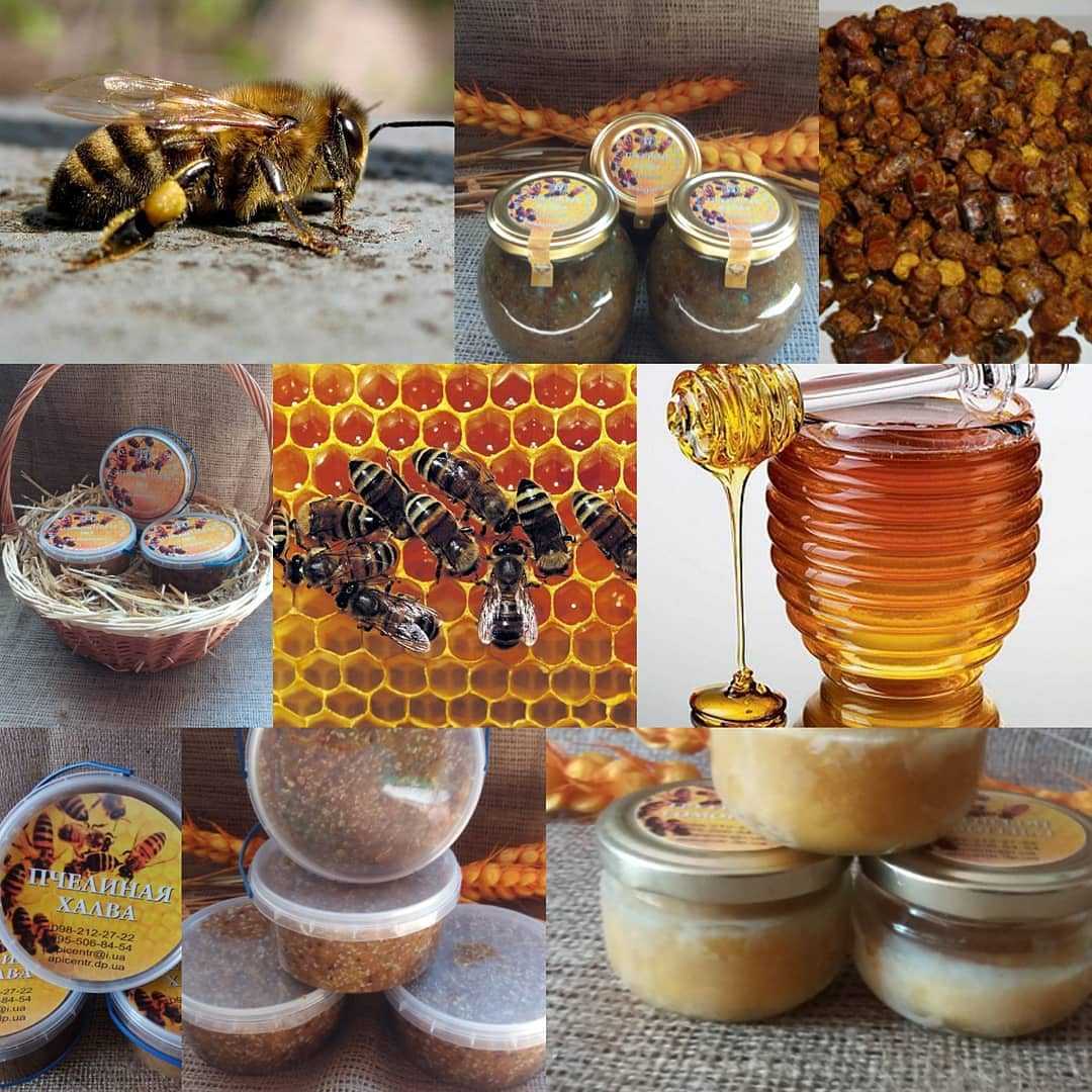 Продукция пчел. Мёд перга пыльца прополис. Мед с маточным молочком пыльцой и пергой. Перга пыльца прополис маточное молочко. Мед с пергой и прополисом.