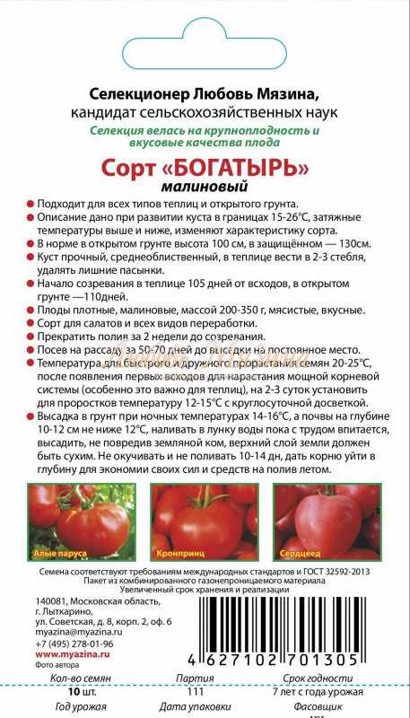 Томат «клуша»: характеристики сорта, особенности выращивания