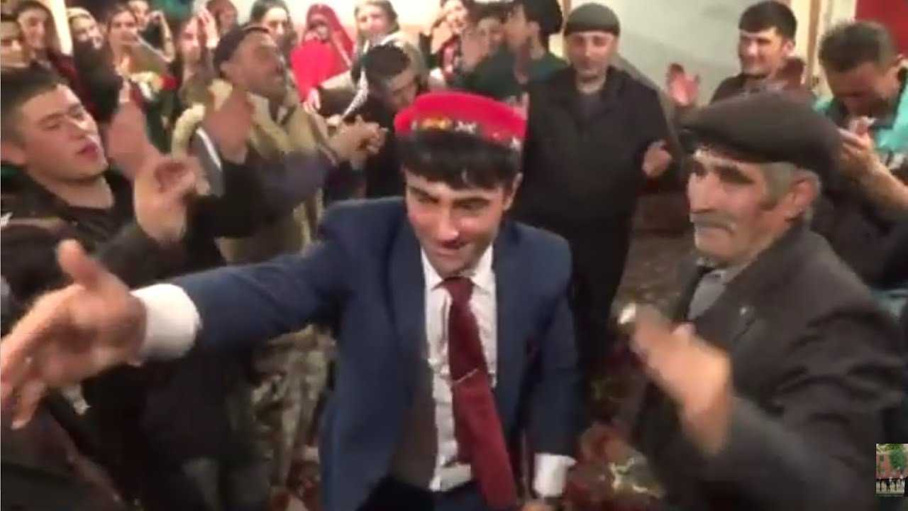 Сорта корейской пихты для ландшафтного дизайна