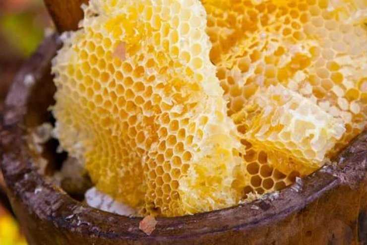 Чем дикий мед отличается от обычного