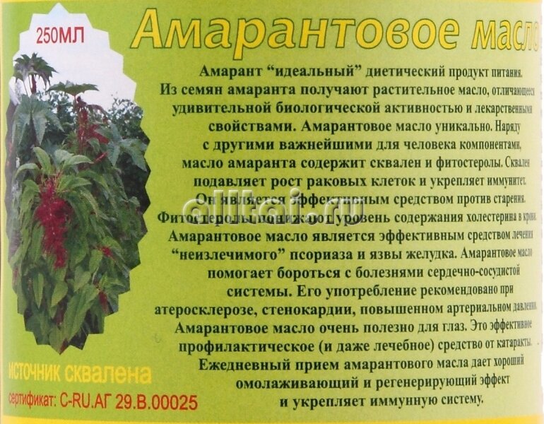 Амарант - что это такое, полезные свойства растения, применение в кулинарии и народной медицине