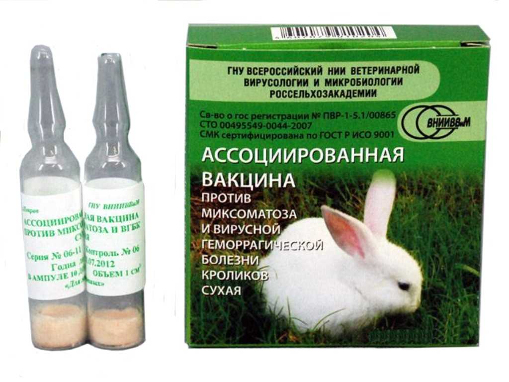 Вакцина раббивак v против вгб кроликов: дозировка и применение