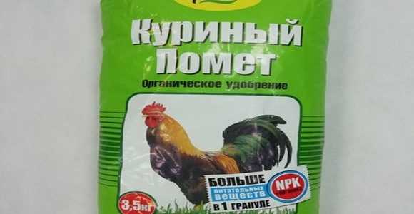 Как подкормить огурцы куриным пометом: особенности внесения удобрения, сроки внесения