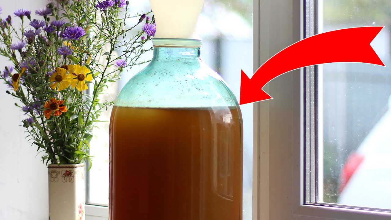 Как можно растопить мед, который засахарился в стеклянной банке или пластиковой бутылке, без потери полезных свойств?