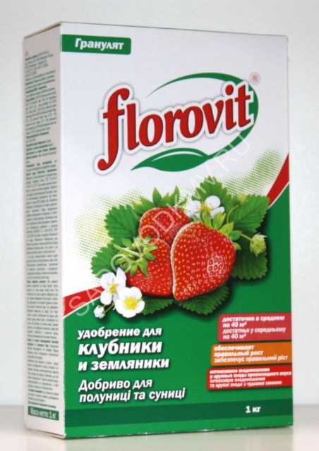 Можно ли удобрить клубнику калием. f59d3d6cb426709e49bb3b345eaa340f. Можно ли удобрить клубнику калием фото. Можно ли удобрить клубнику калием-f59d3d6cb426709e49bb3b345eaa340f. картинка Можно ли удобрить клубнику калием. картинка f59d3d6cb426709e49bb3b345eaa340f. Кроме этих питательных составов, клубнику весной удобряют неспецифическими средствами, среди которых можно назвать йод и дрожжи.
