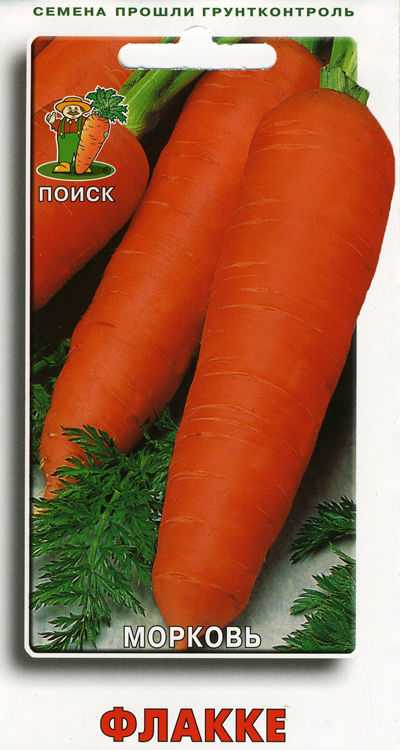 Сладкий сорт моркови шантане роял ярко-оранжевого цвета