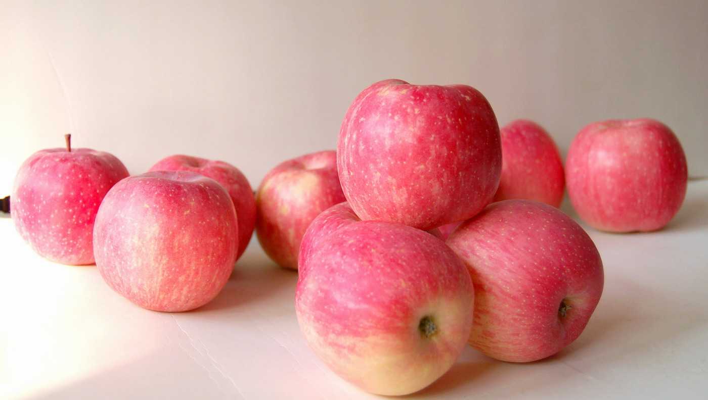 Фуджи (сорт яблони) — википедия с видео // wiki 2