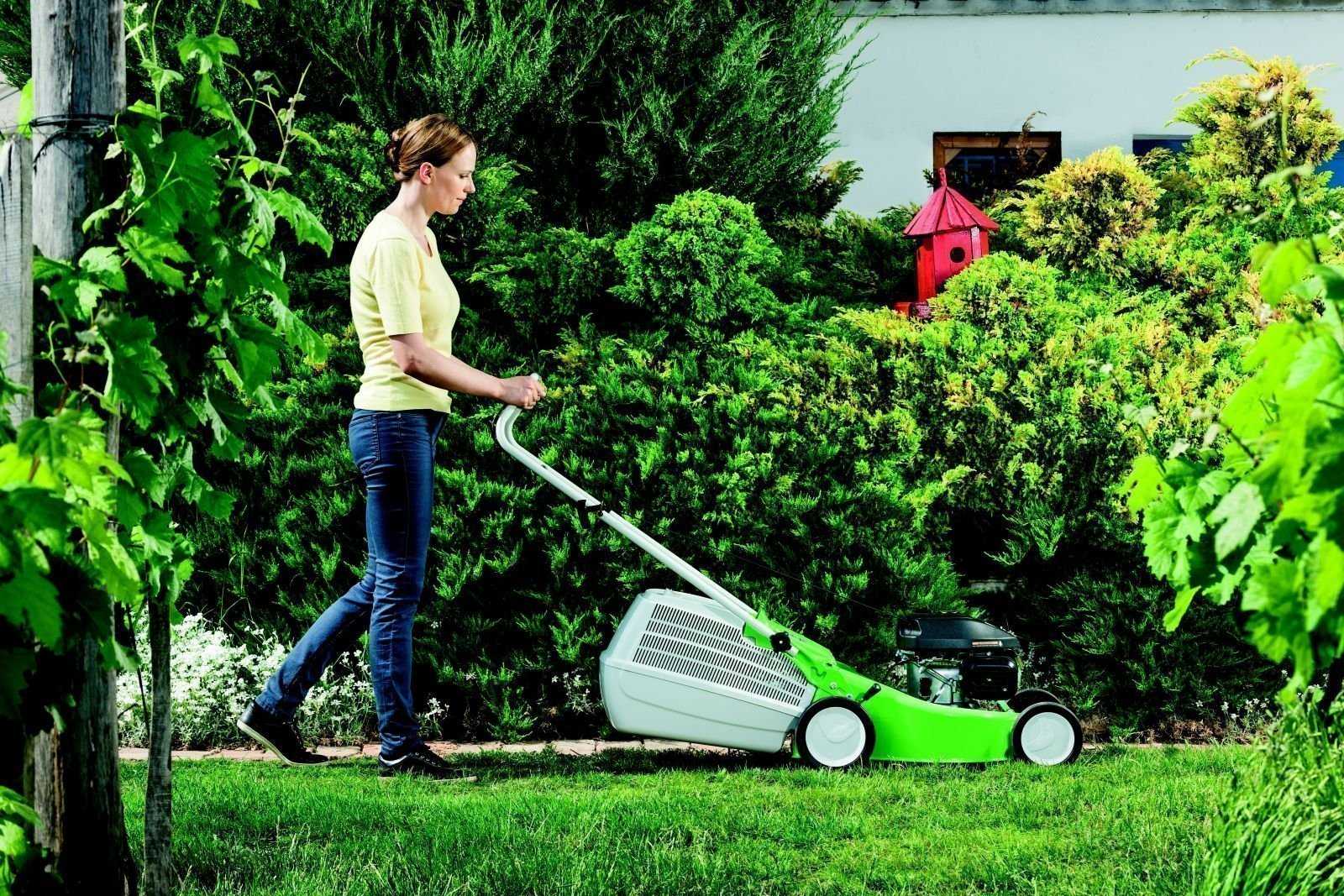 Как правильно выбрать газонокосилку для дачного участка? несколько советов от опытных садоводов!