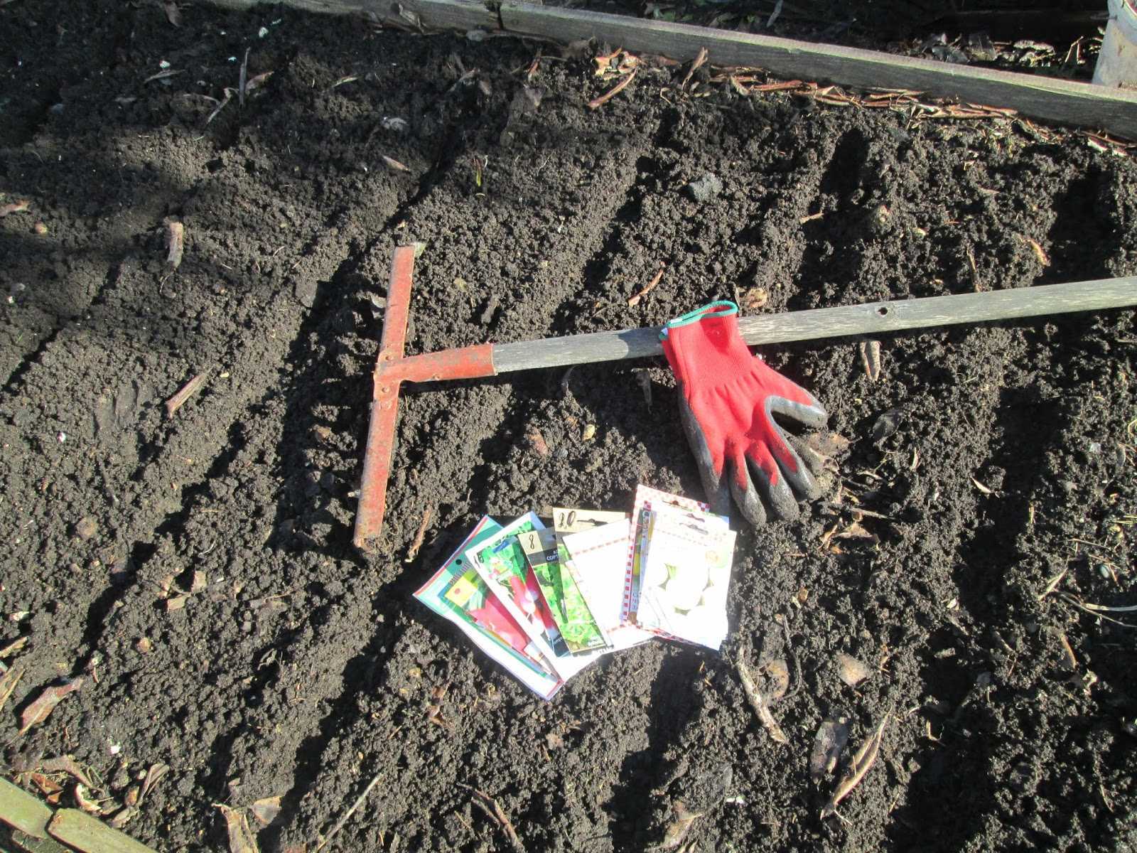 Когда весной сажать редис в открытый грунт. Посадка семян редиса в открытый грунт. Подготовка почвы к посадке. Посадка редиса в грунт. Подготовка почвы для моркови.